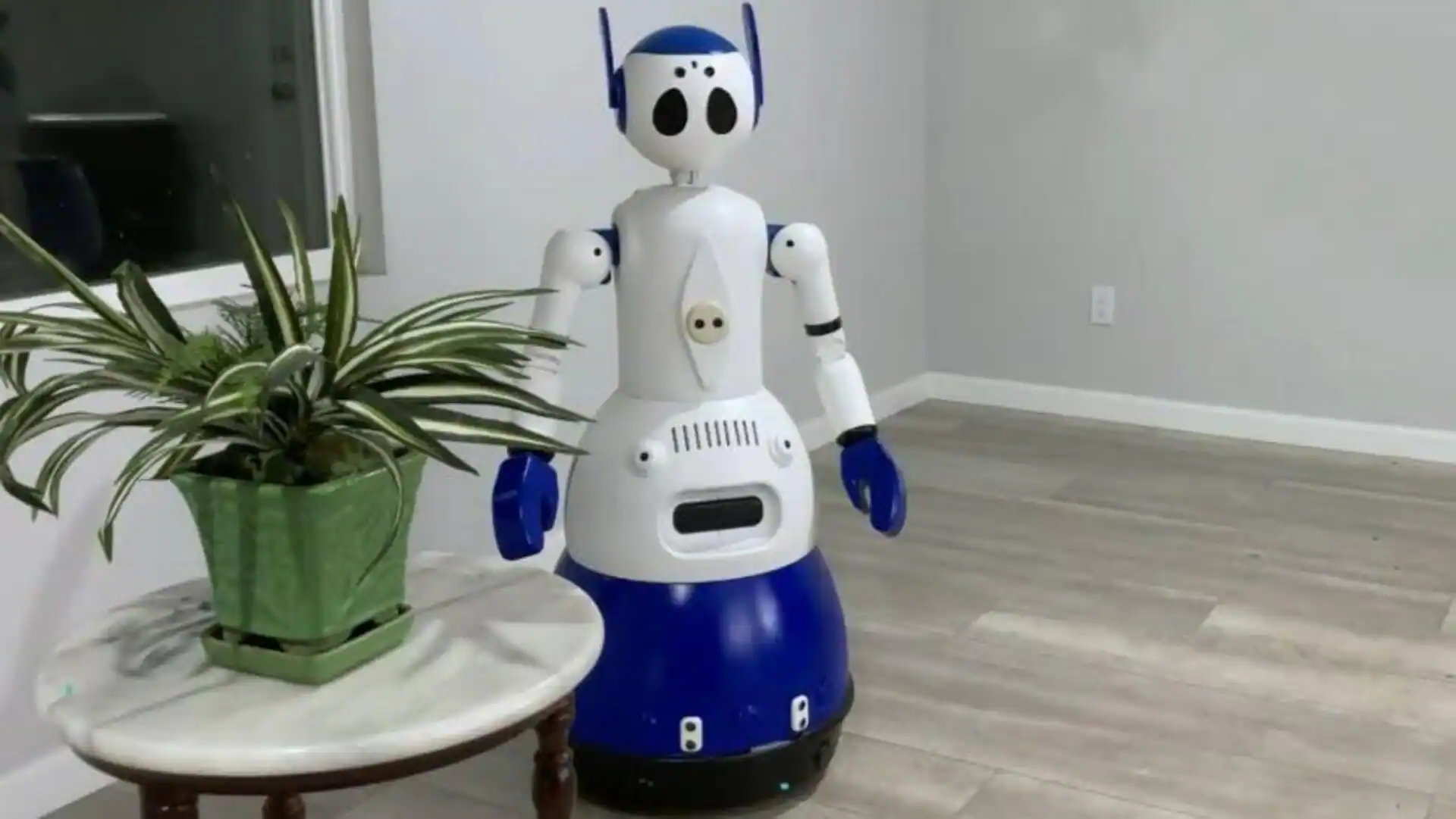 Chinese homes might have robot companions by 2035