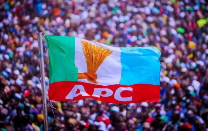 APC Italy Throws Weight Behind Ibezim