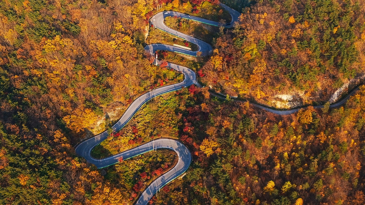 South Korea 2026: When to visit, where to stay, and what to do