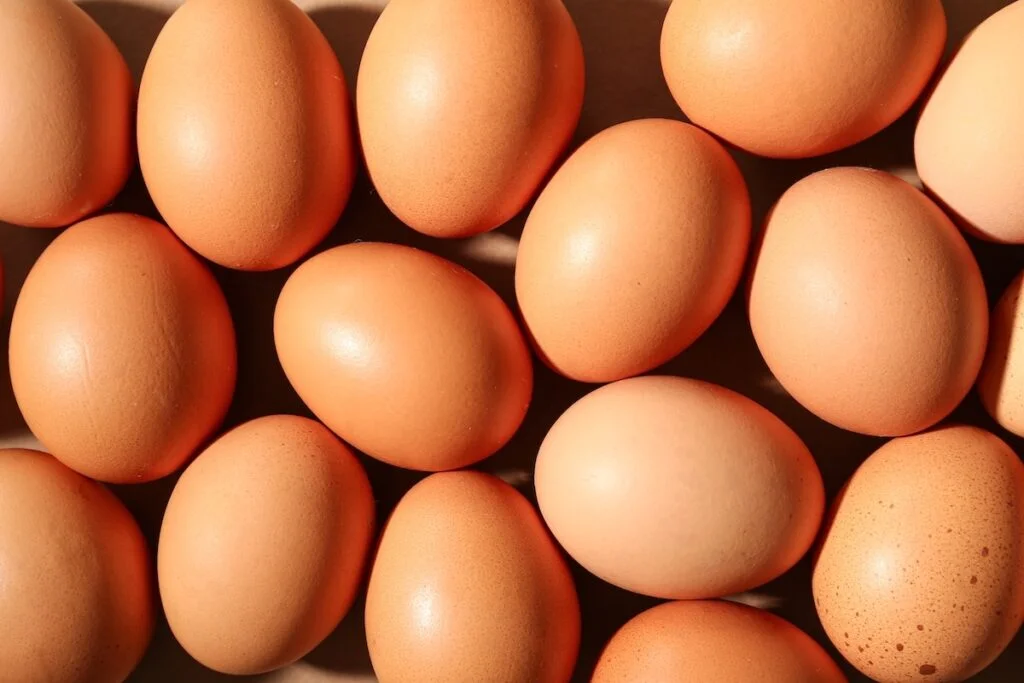 Justin Wolfers Says AI's Soaring Energy Demand Is Like Egg Shortage - But Predicts Market Will 'Hatch More Watts' As Prices Rise