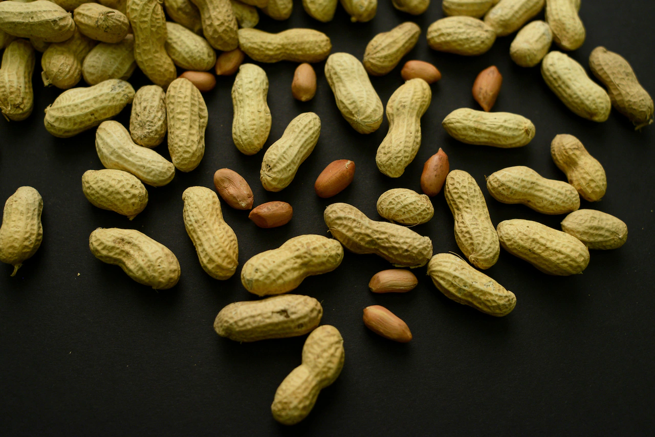 Feeding babies peanuts early and often helped thousands of kids avoid allergies, study shows
