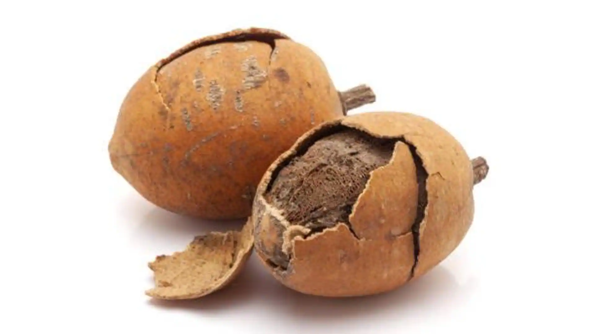 Balanites: A superfood you may not know about