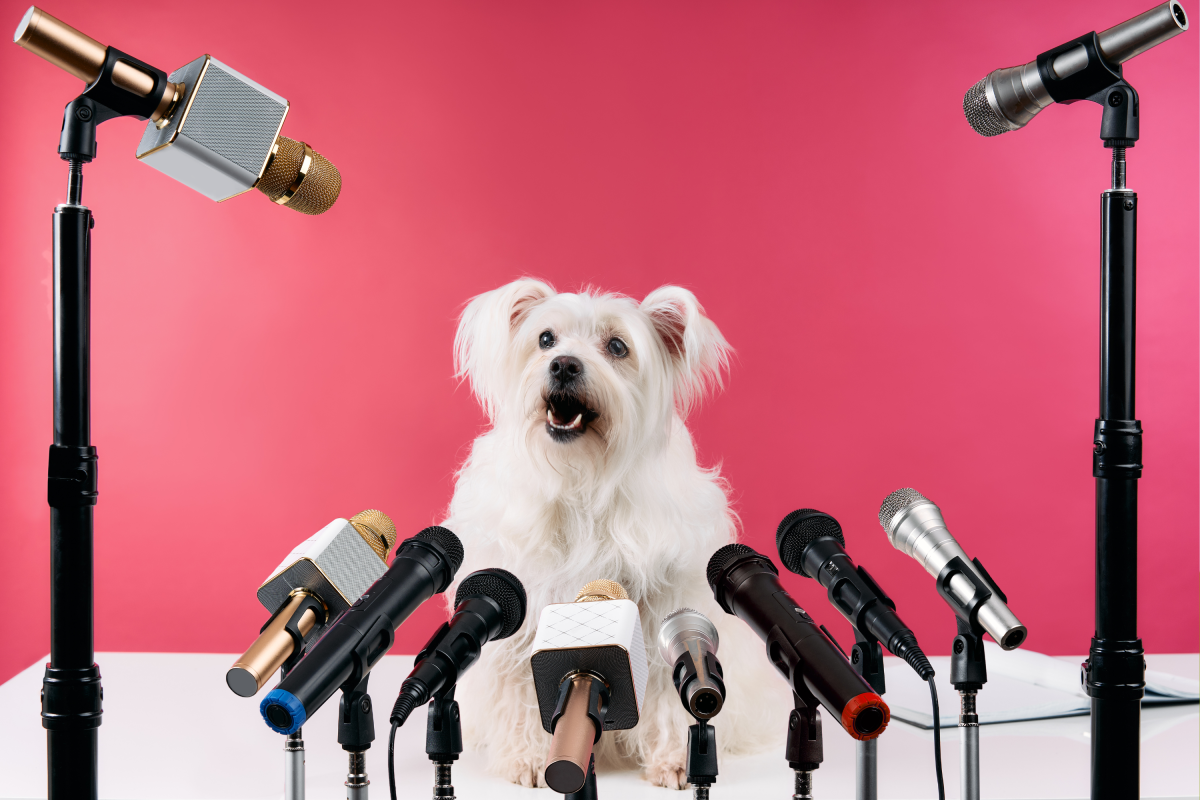 Scientists Wanted To Know if Dogs Could One Day Talk-Here’s What They Found