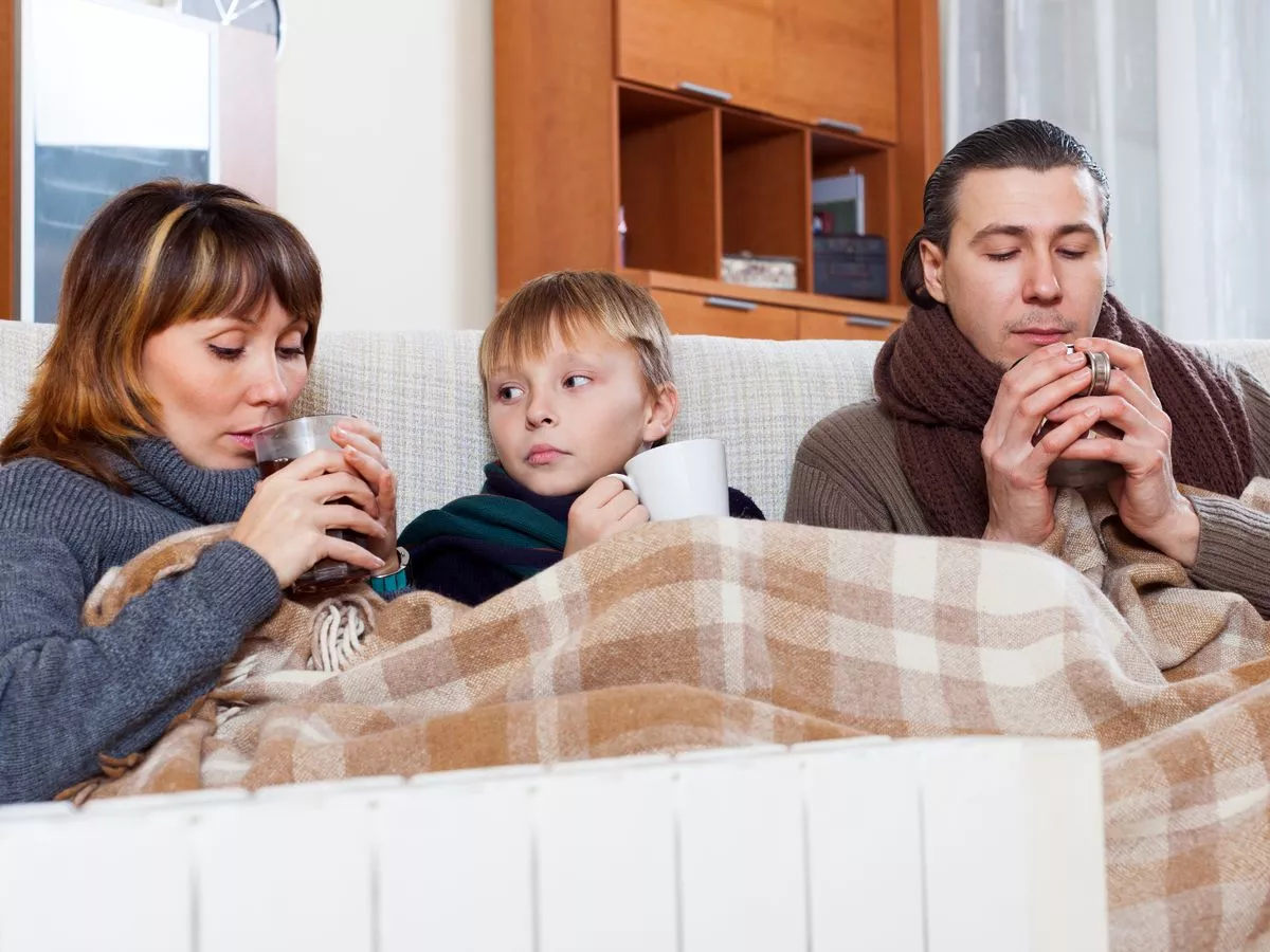 Octopus and OVO giving away free electric blankets as energy bills rise