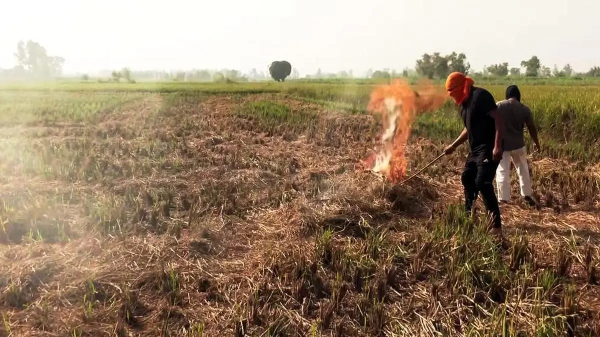 States must tackle stubble burning problem