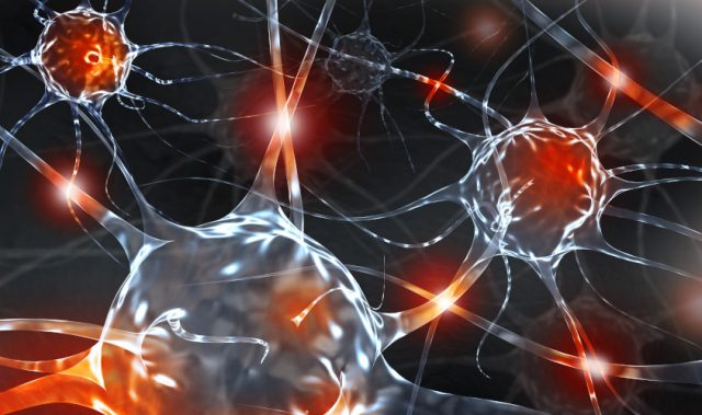 Late-Night Dinners And Skipped Breakfasts Linked To Weaker Bones