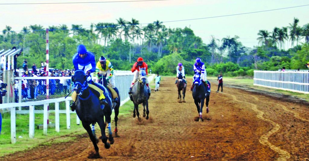 Coast at D Big Yard: Ritorna Vincentori, Stat among 9 horses entered for feature race