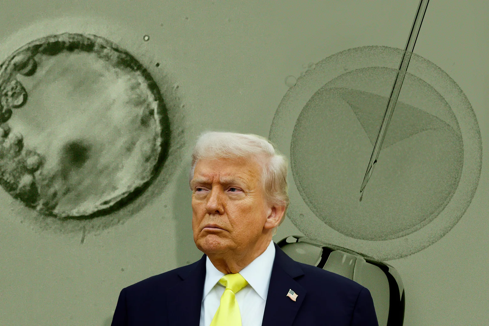 Trump’s IVF move says so much about his politics.