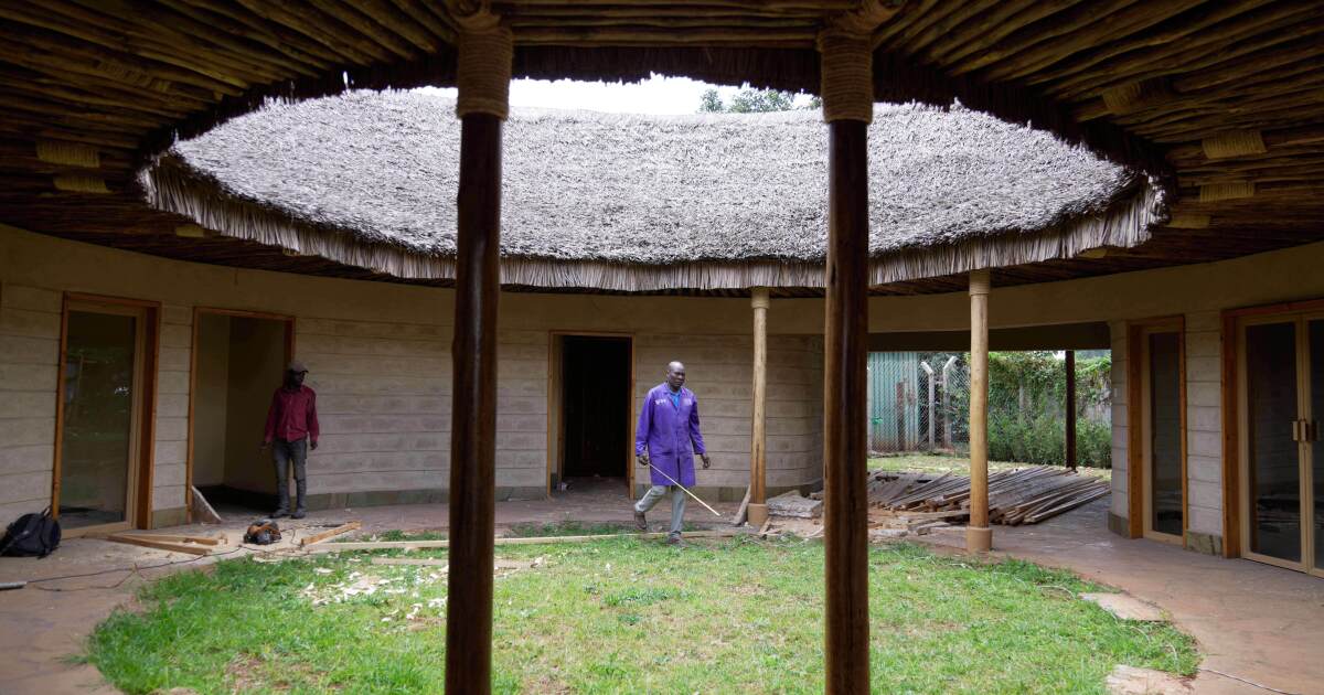 A farm in Kenya makes fungi-based panels for sustainable building