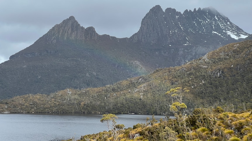 Walker dies after group 'overwhelmed' by extreme weather at Cradle Mountain