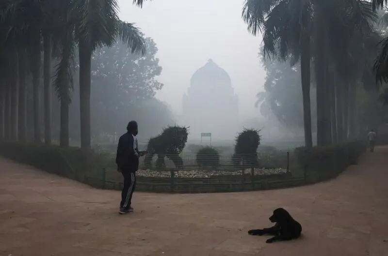 Delhi air quality at ‘hazardous’ levels after Diwali fireworks