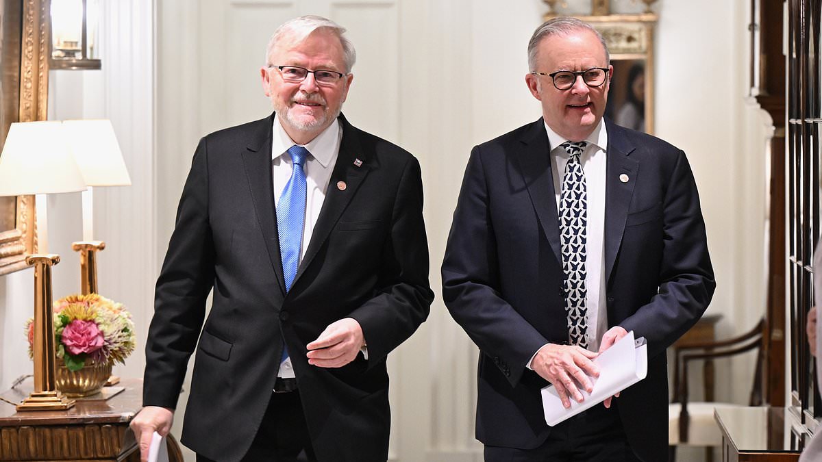Anthony Albanese breaks his silence on that very AWKWARD exchange between Kevin Rudd and Trump