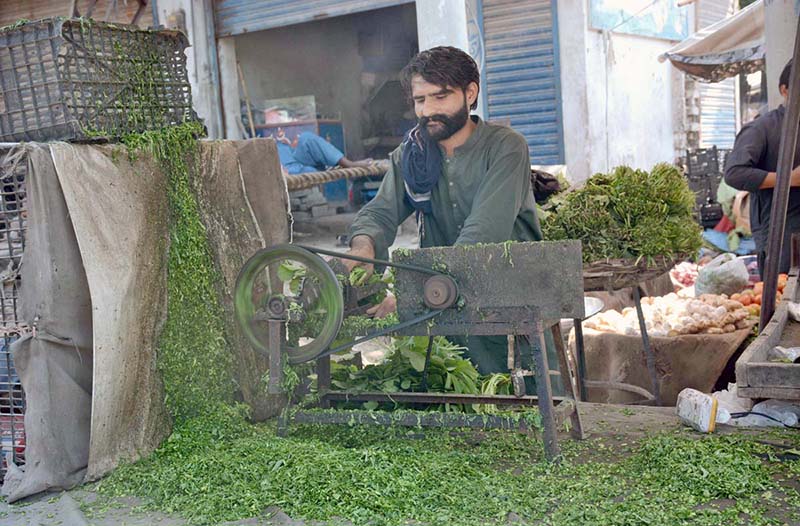 A vendor busy in cutting spinach with electric machine at Vegetable Market.