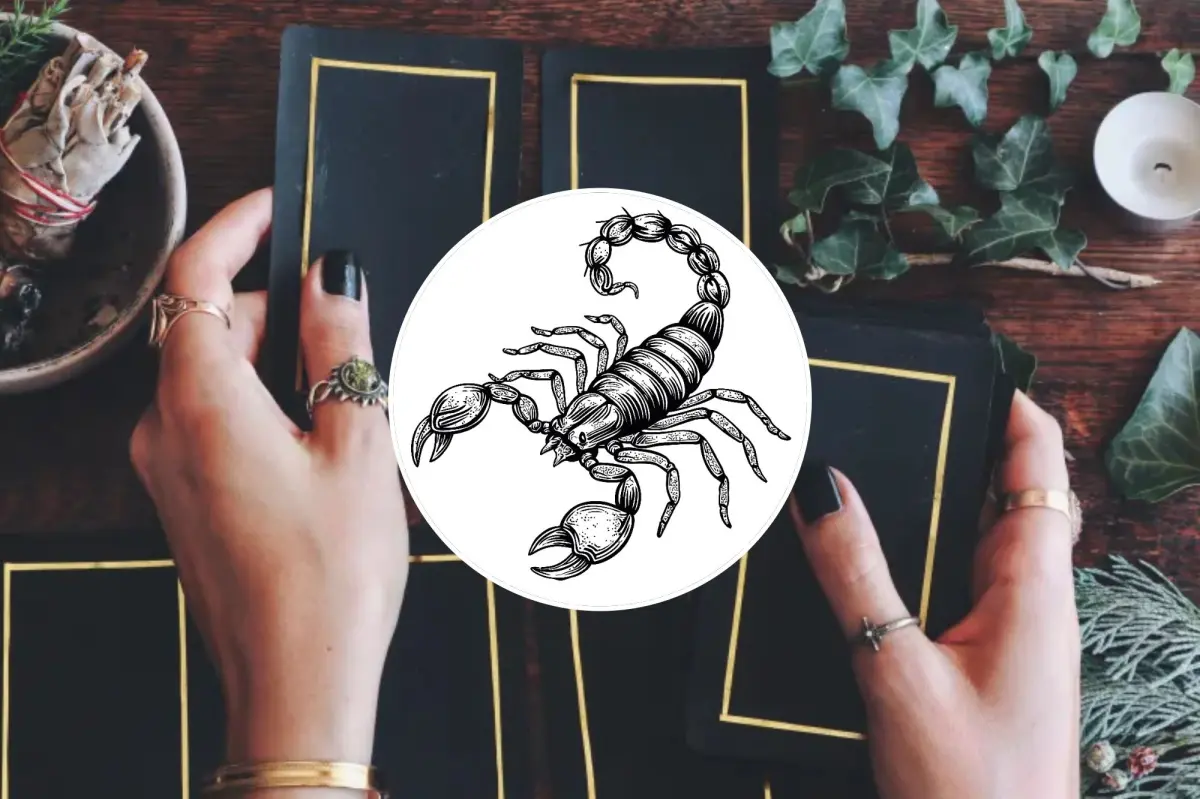 Tarot cards for Scorpio's year ahead