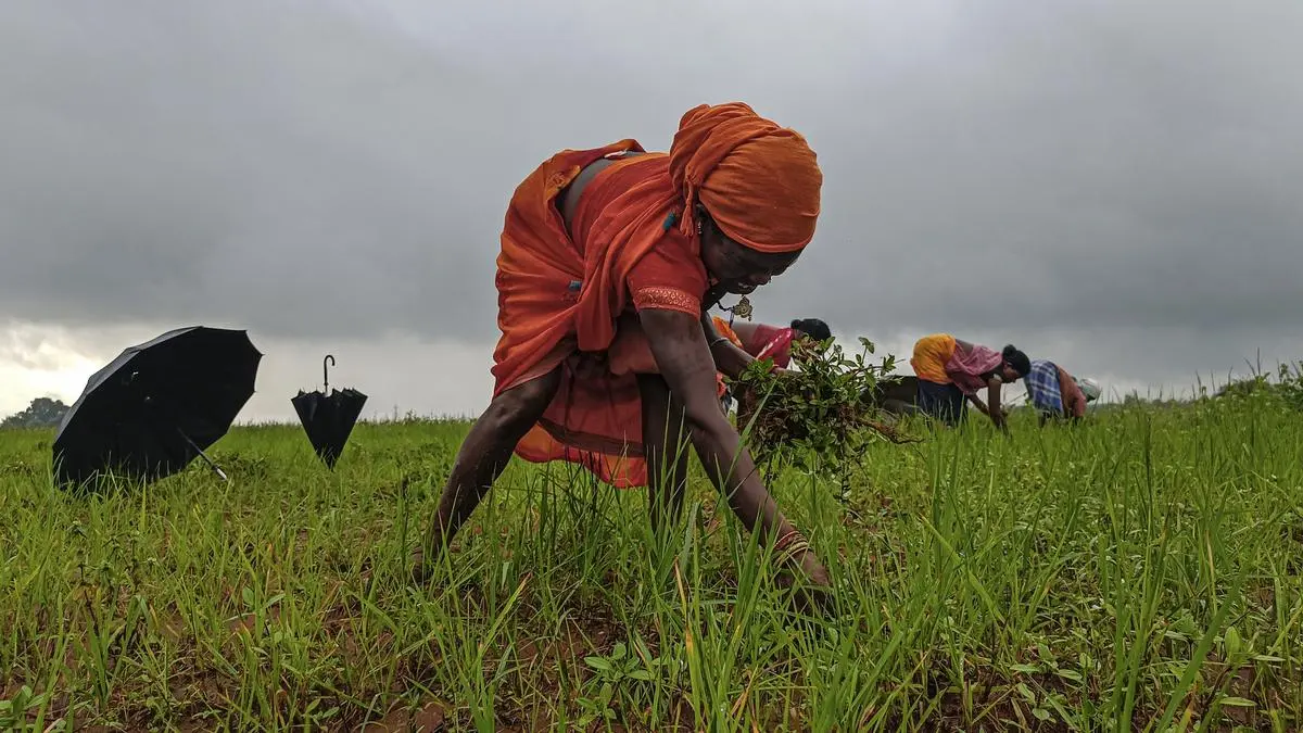 Adopting regenerative agriculture to help farmers build climate resilience