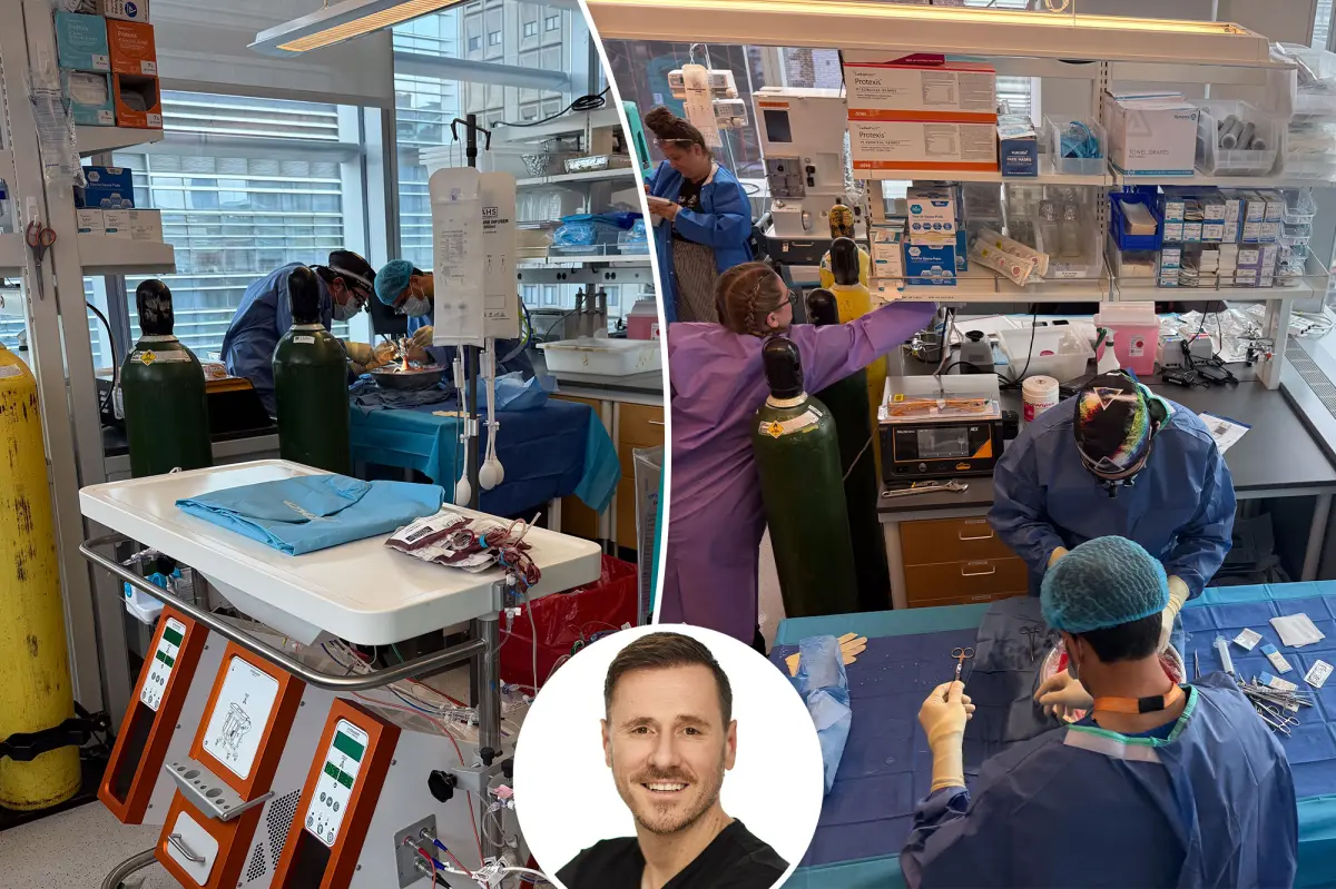 Company aims to end need for liver transplants