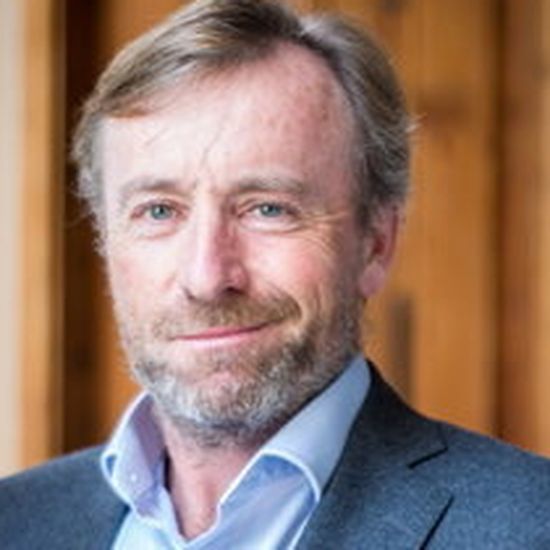 Nualight profits jump to €4m as input costs fall sharply