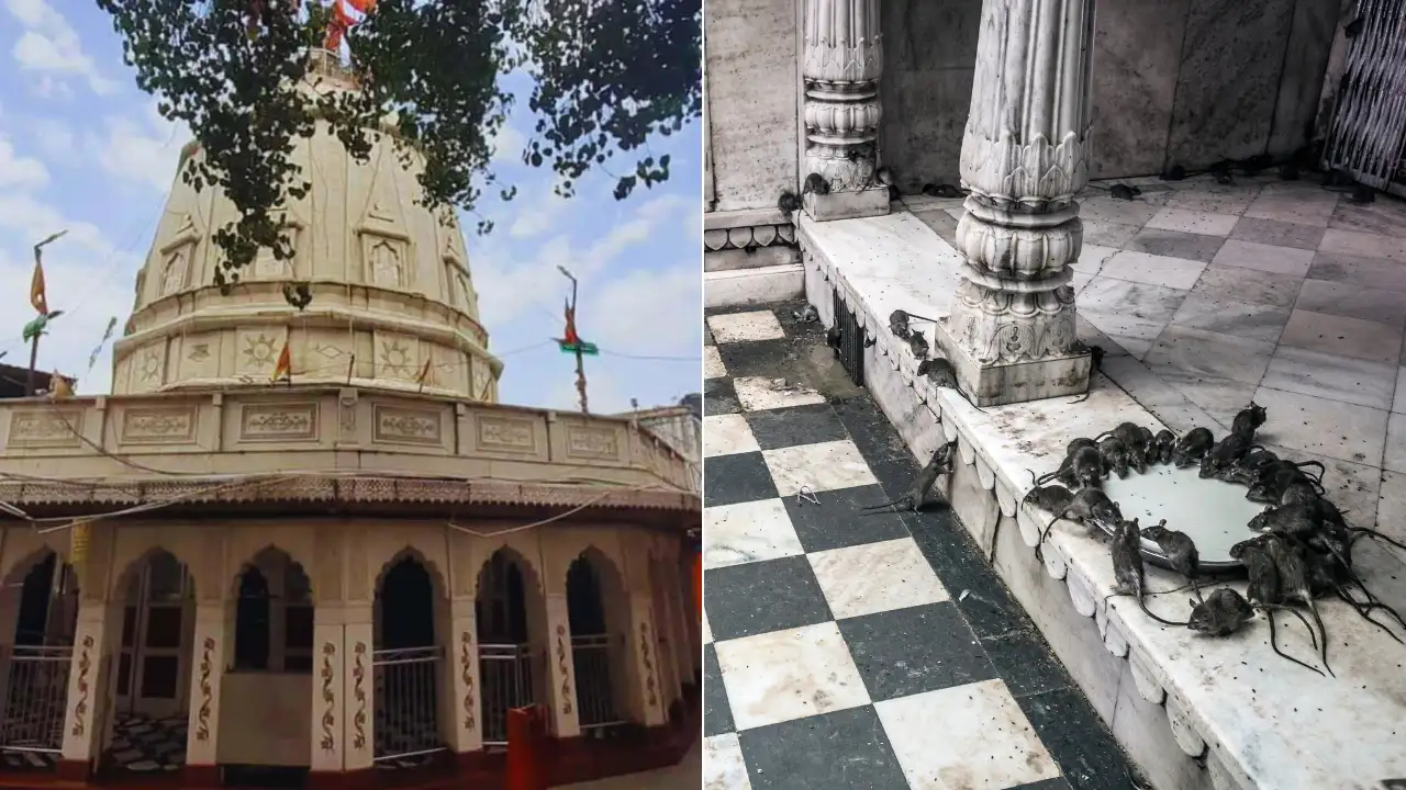 Shardiya Navratri 2025: Every Devotee Should Visit THESE 5 Temples For Divine Blessings