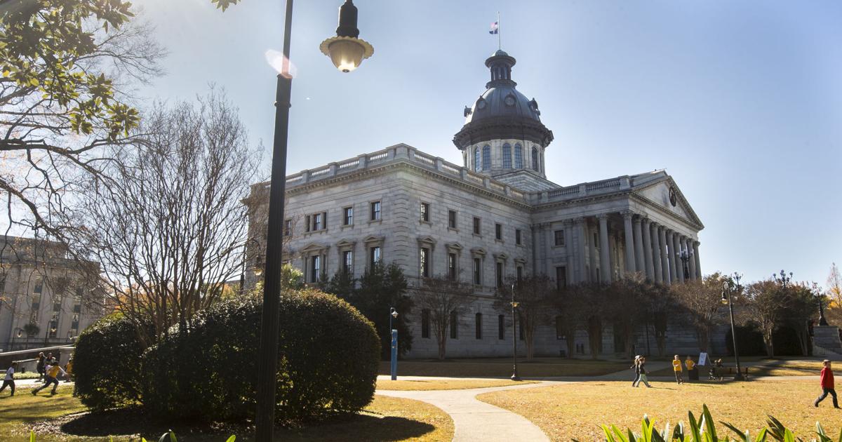 Two republicans head to a run-off in SC’s District 88
