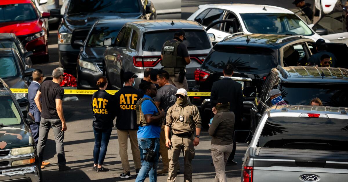 Un agente del ICE hiere a un ayudante del sheriff federal y a un streamer de TikTok, que es acusado de agresión