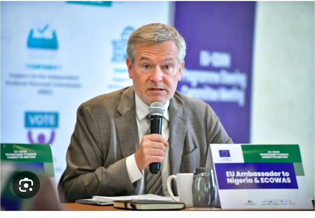 Felabration 2025: EU pledges to support creative industries in Africa
