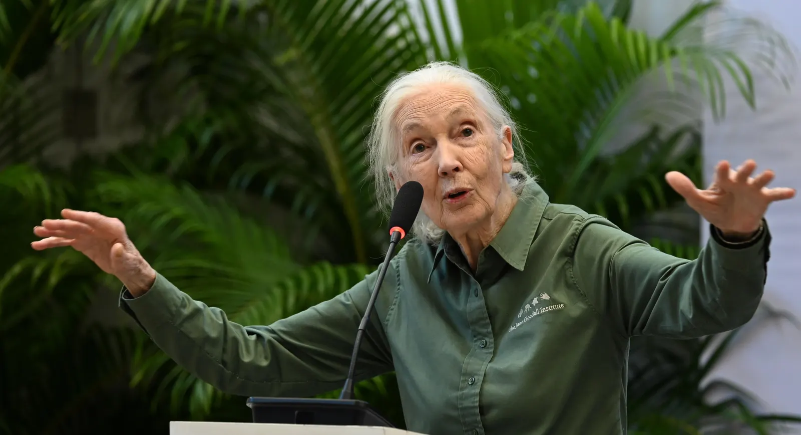 In One Of Her Final Appearances, Jane Goodall Encourages Attorneys To Protect The Environment