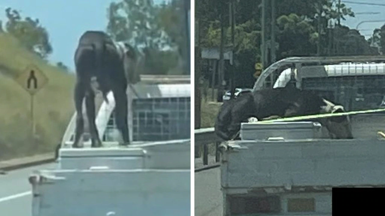 Common Aussie act exposed as illegal
