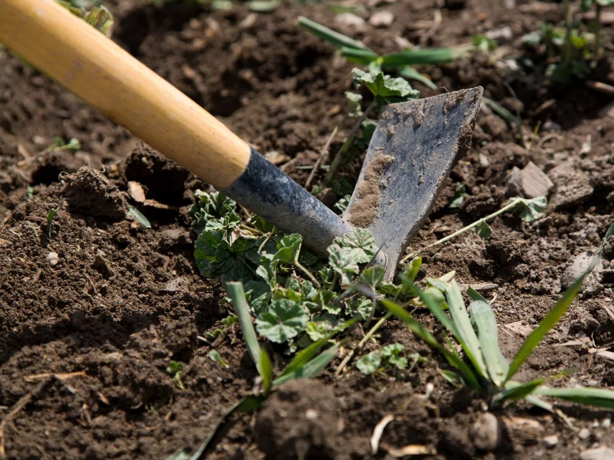 Man finds 'spooky' 90-year-old time capsule in garden then something amazing happens