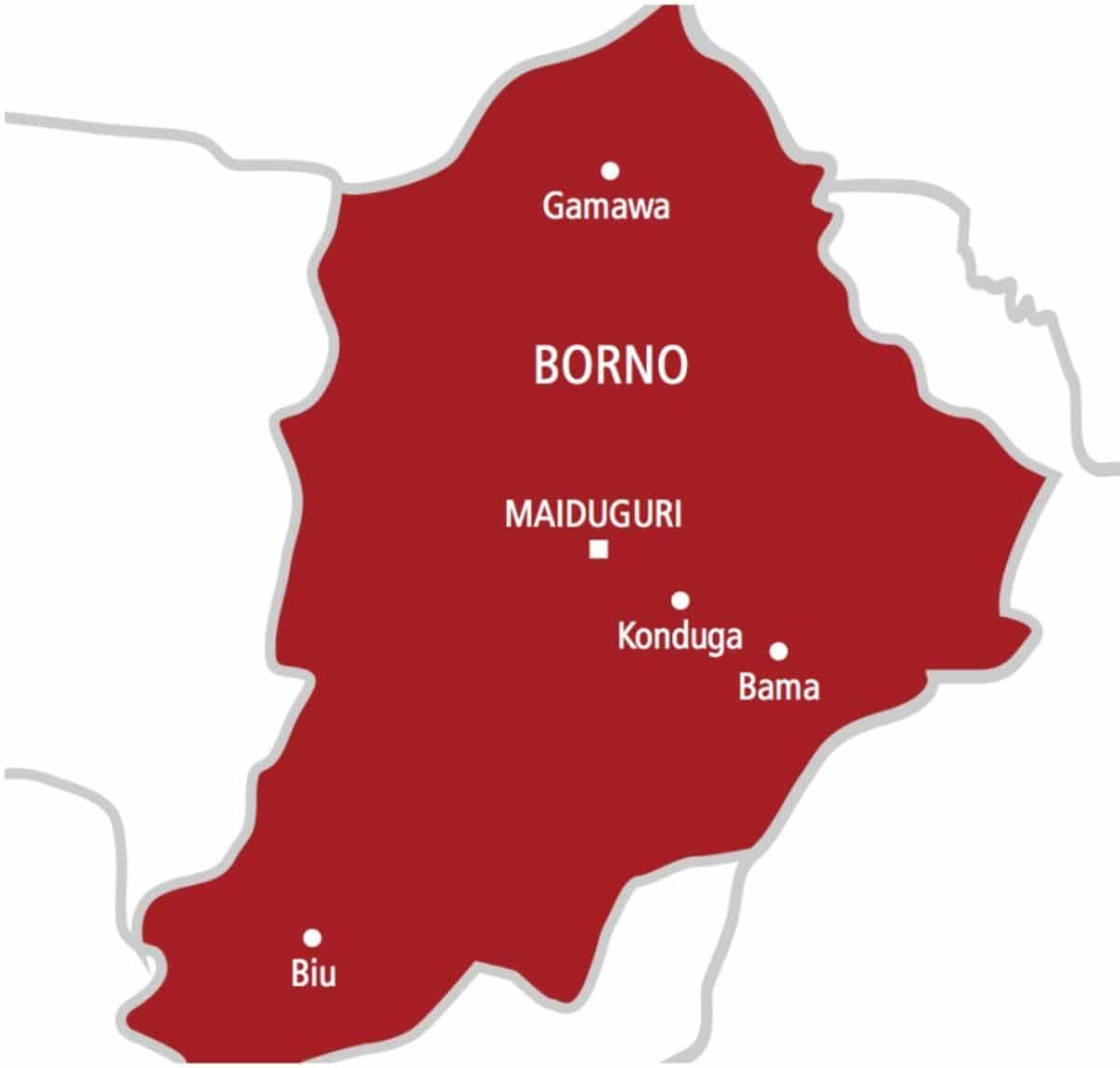 Troops dismantle kidnap syndicate in Borno, arrest two suspects