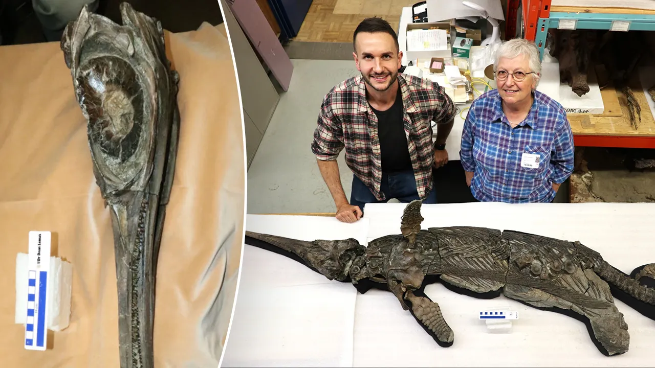 Paleontologists identify 193-million-year-old 'sword dragon' skeleton