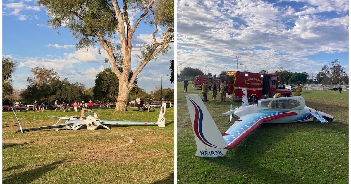 Woman Hit by Plane in Emergency Soccer Field Landing