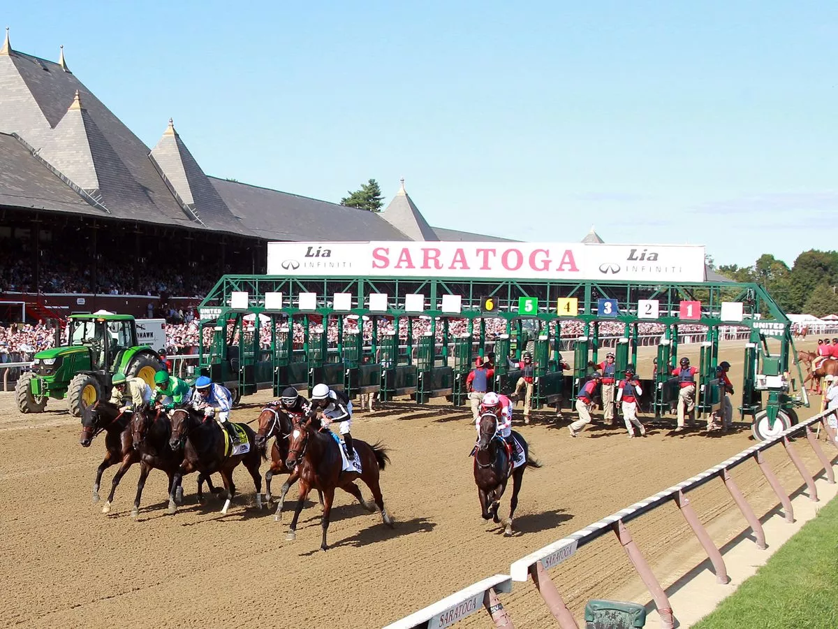 Stalls handler banned for one year for causing ‘bodily harm’ to racehorse