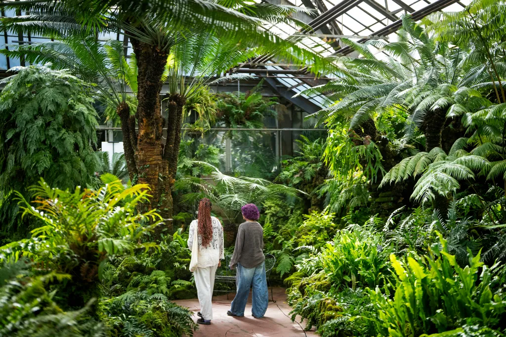 Do ferns make sounds? A new installation ponders "what if?"