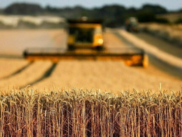 Credit crunch in agriculture