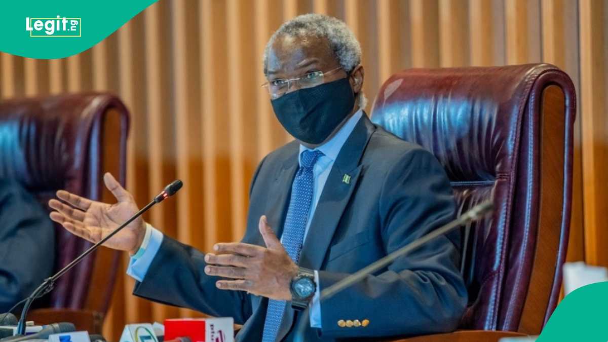 2027 election: Fashola drops bombshell about politicians children, Nigerians react