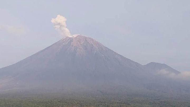 Indonesia's Mount Semeru Registers 100 Eruption Tremors as Activity Intensifies