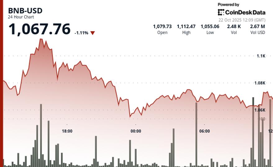 BNB Holds Below $1,100 as Memecoin Activity and Perpetuals Fuel Chain Growth