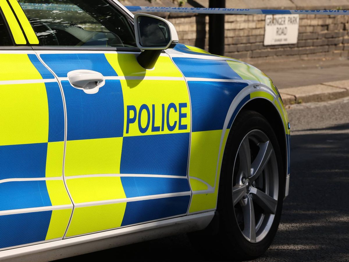 UK school locked down after 'gunman' saw 'hysterical' pupils scaling fences to escape