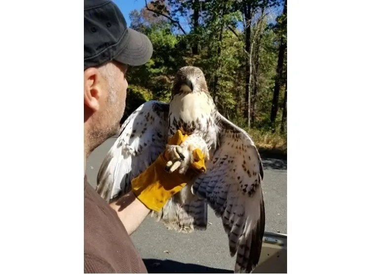'Animals Displaced Forever': Petition To Stop 'Destruction' At Washington Valley Park