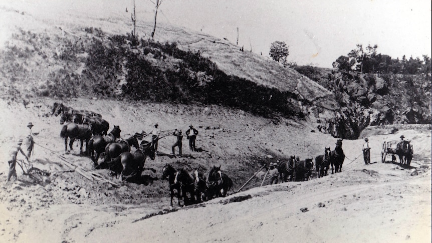 How Victoria's old sugar beet industry helped dairy farmers prosper