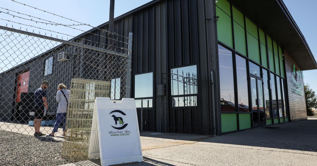 Yellowstone Valley Animal Shelter looks for new home