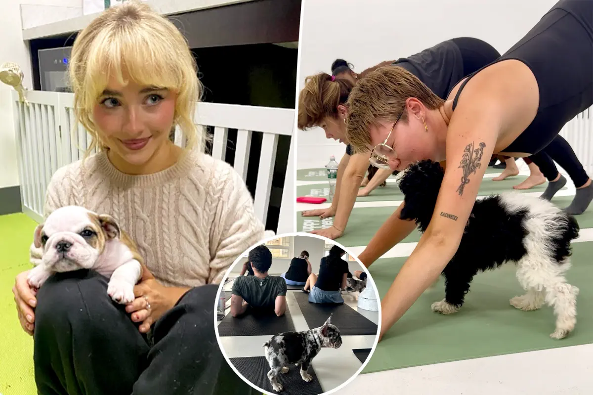 'Puppy therapy' is the workout trend with extra feel-good benefits