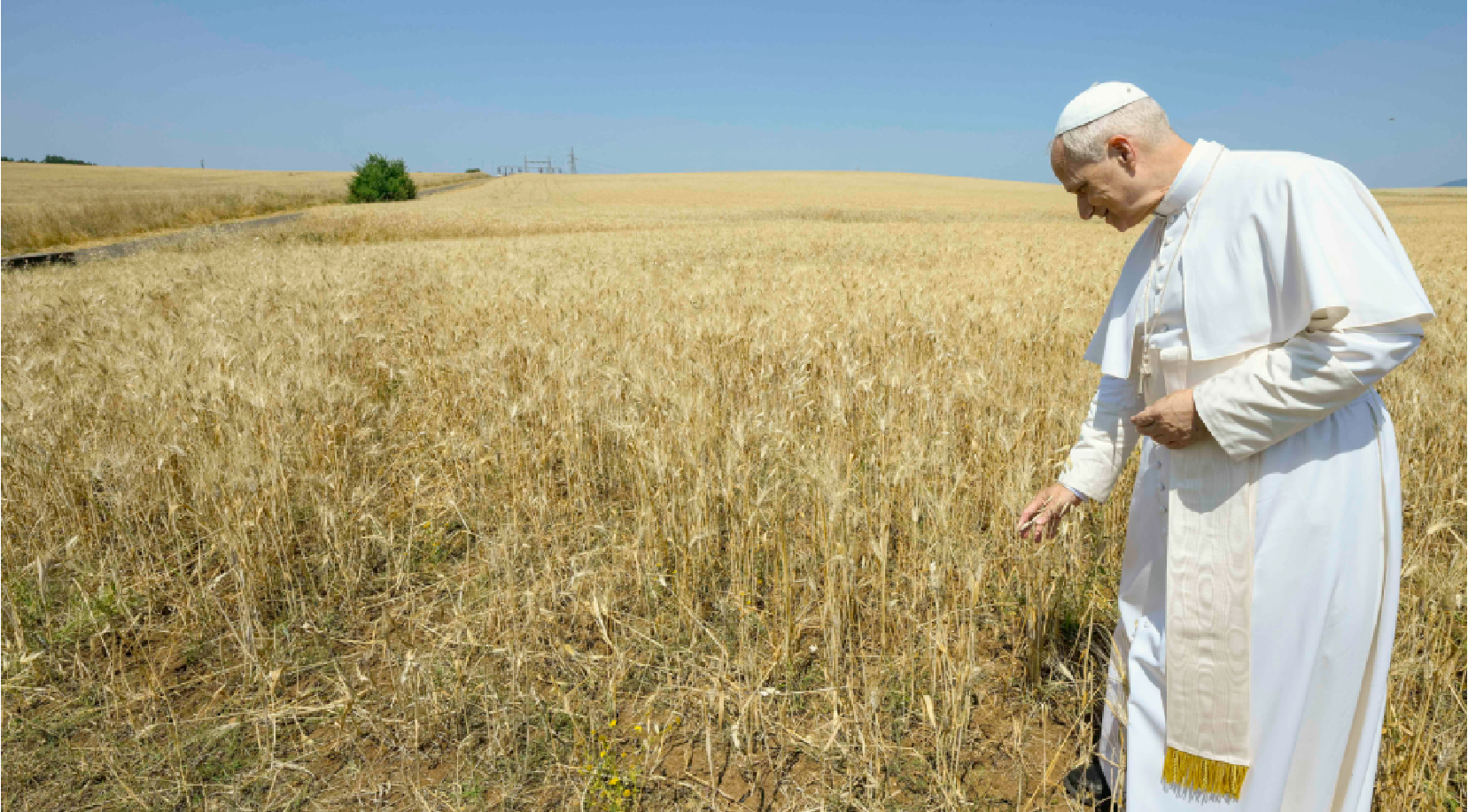 Vatican Unveils Bold Climate Plan to Become the World’s First Carbon-Neutral State