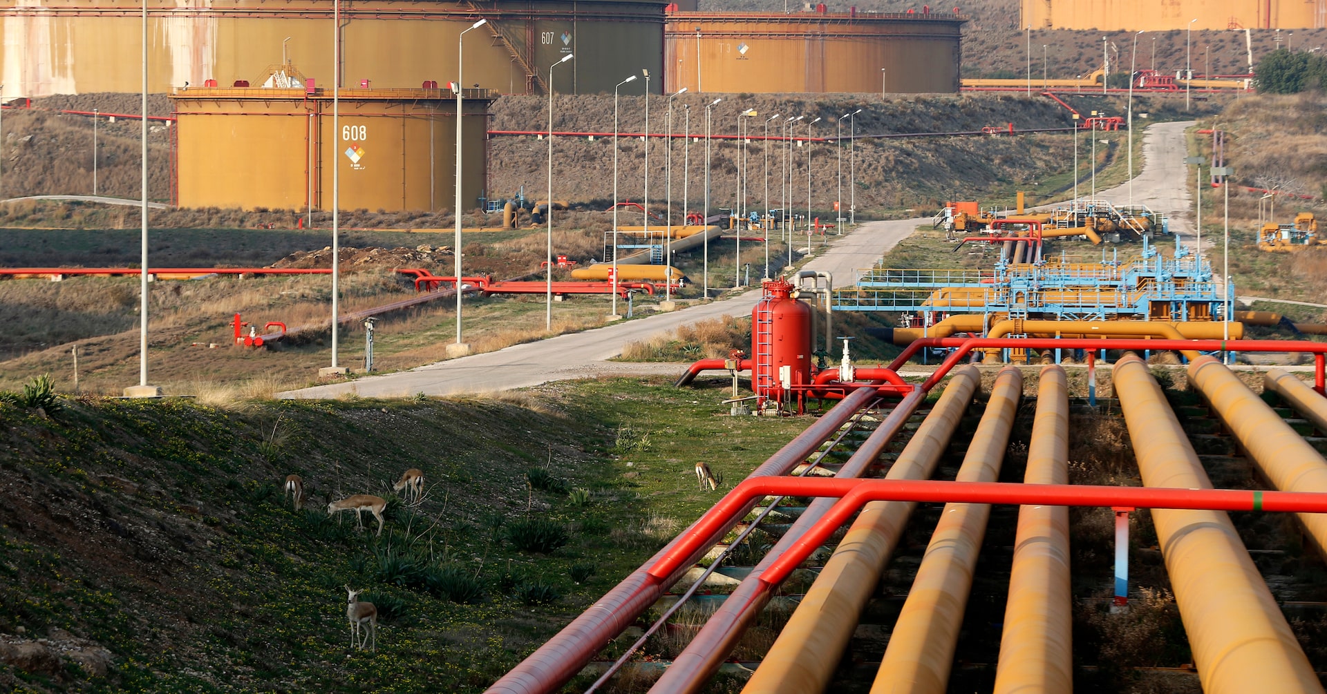 Iraq resumes Kurdish oil exports to Turkey after 2-1/2-year halt - Reuters