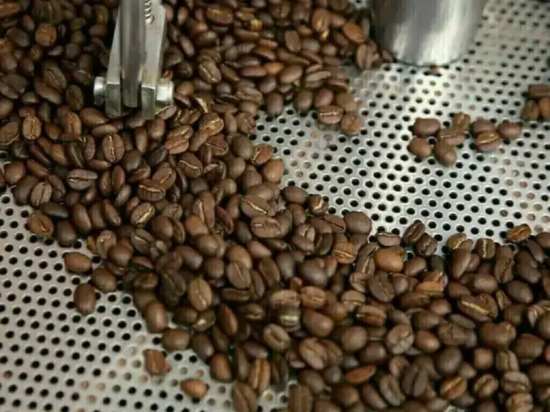 Arabica coffee sets five-week high, cocoa also climbs