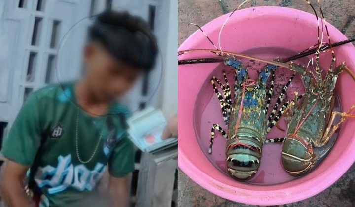 [Watch] Chinese Tourists Nearly Scammed In Semporna Lobster Switch Con