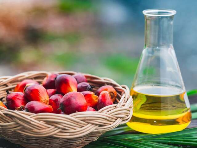 Malaysian palm oil futures lower