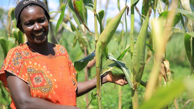 The agricultural fixes Africa needs