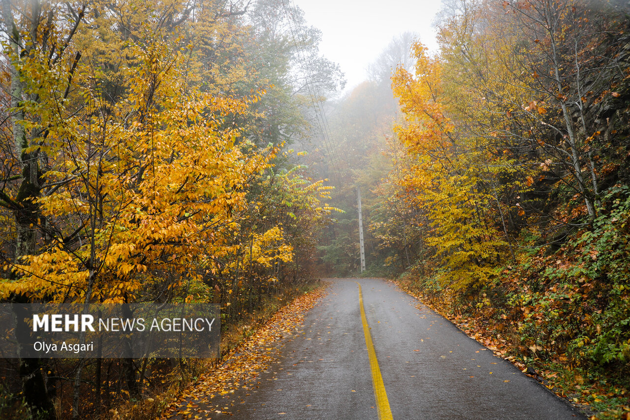 VIDEO: Golestan Province dressed in Autumn colors