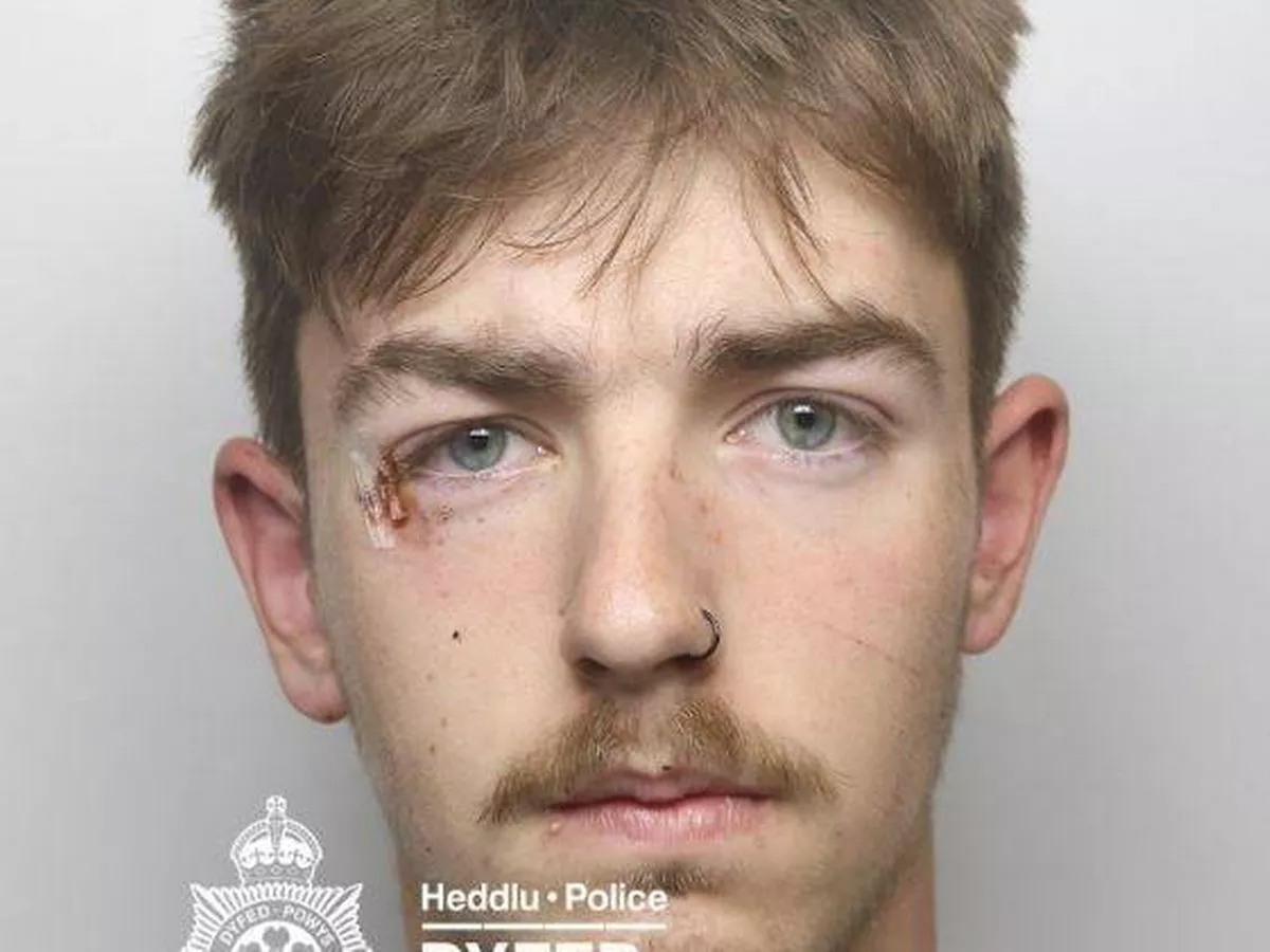 Teen's head smashed through car window after driver refused pleas to stop